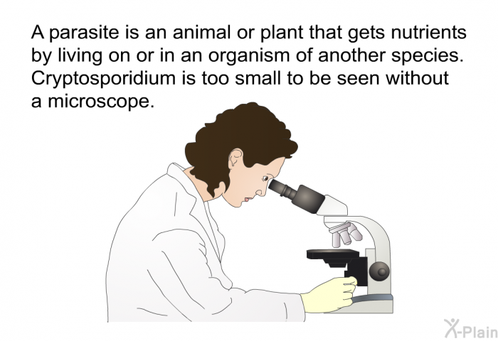A parasite is an animal or plant that gets nutrients by living on or in an organism of another species. Cryptosporidium is too small to be seen without a microscope.