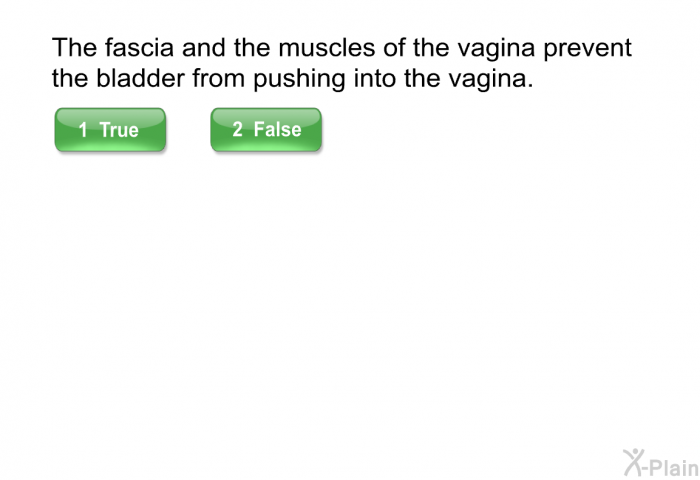The fascia and the muscles of the vagina prevent the bladder from pushing into the vagina.