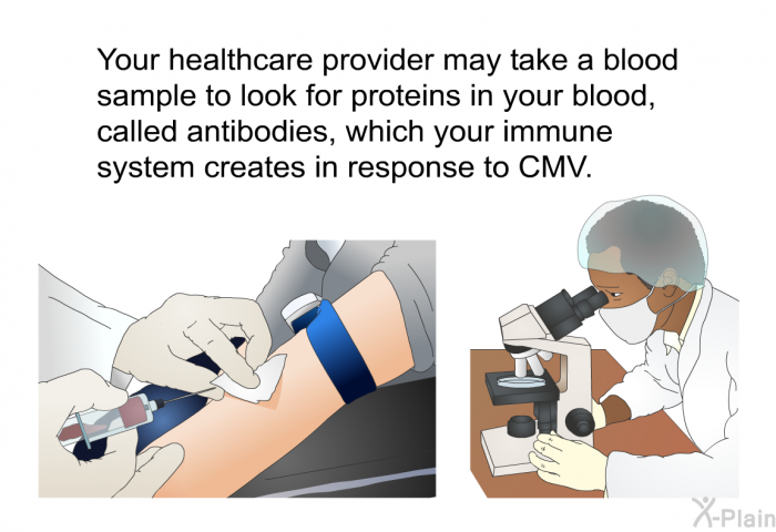 Your healthcare provider may take a blood sample to look for proteins in your blood, called antibodies, which your immune system creates in response to CMV.