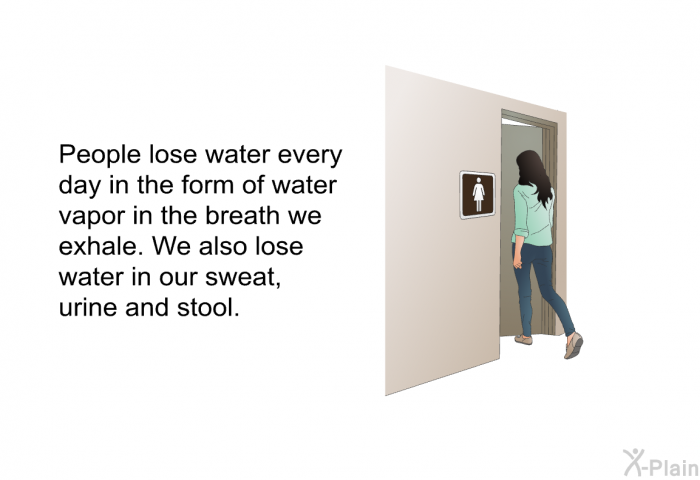 People lose water every day in the form of water vapor in the breath we exhale. We also lose water in our sweat, urine and stool.