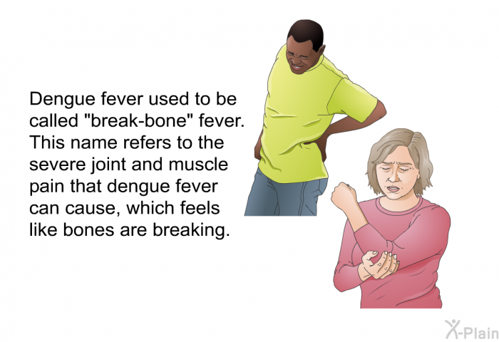 Dengue fever used to be called "break-bone" fever. This name refers to the severe joint and muscle pain that dengue fever can cause, which feels like bones are breaking.
