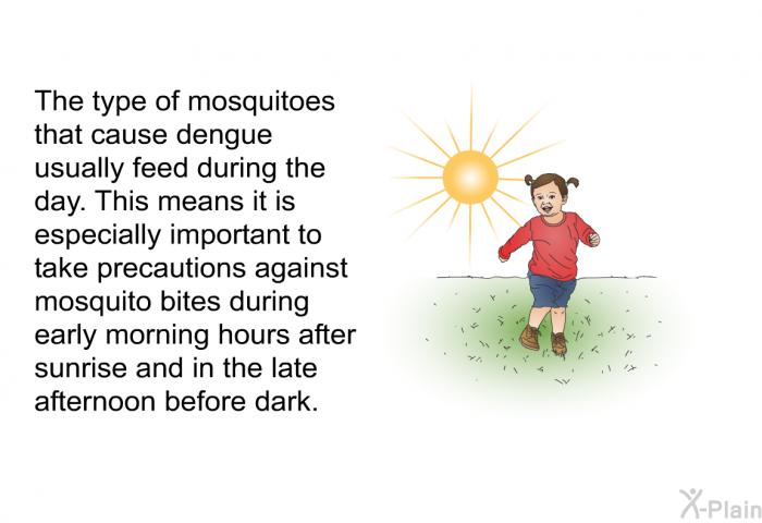 The type of mosquitoes that cause dengue usually feed during the day. This means it is especially important to take precautions against mosquito bites during early morning hours after sunrise and in the late afternoon before dark.