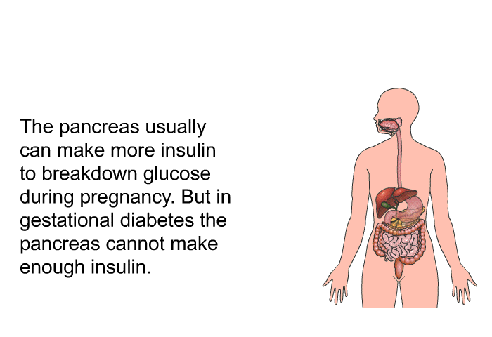 The pancreas usually can make more insulin to breakdown glucose during pregnancy. But in gestational diabetes the pancreas cannot make enough insulin.