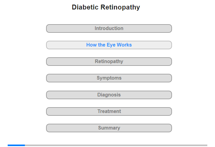 How the Eye Works