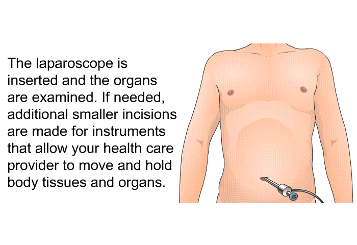 The laparoscope is inserted and the organs are examined. If needed, additional smaller incisions are made for instruments that allow your health care provider to move and hold body tissues and organs.