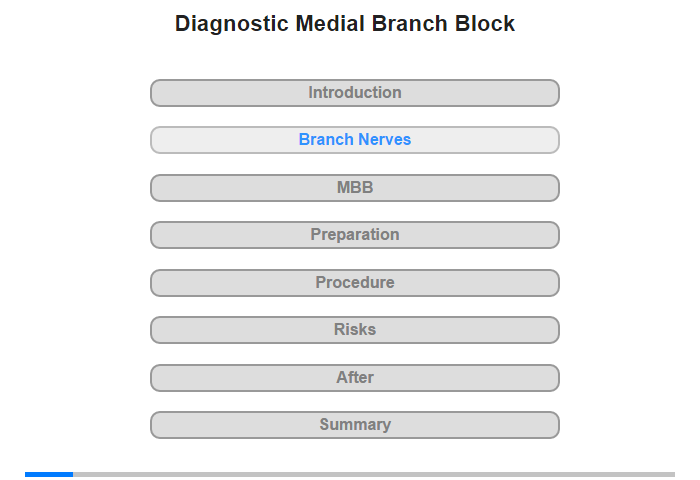 The Spine and Medial Branch Nerves