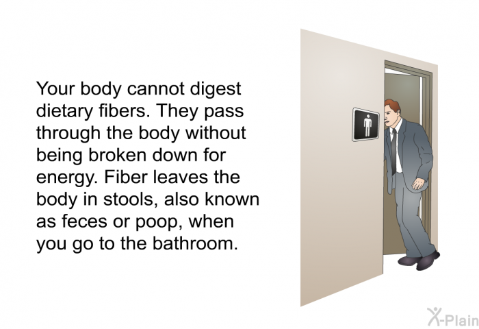 Your body cannot digest dietary fibers. They pass through the body without being broken down for energy. Fiber leaves the body in stools, also known as feces or poop, when you go to the bathroom.