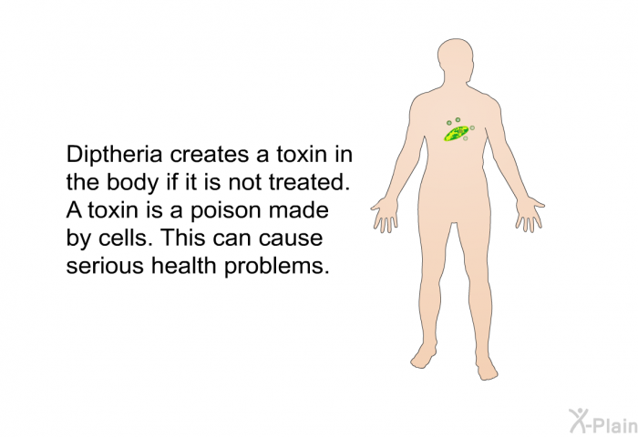 Diptheria creates a toxin in the body if it is not treated. A toxin is a poison made by cells. This can cause serious health problems.