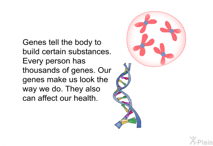Genes tell the body to build certain substances. Every person has thousands of genes. Our genes make us look the way we do. They also can affect our health.