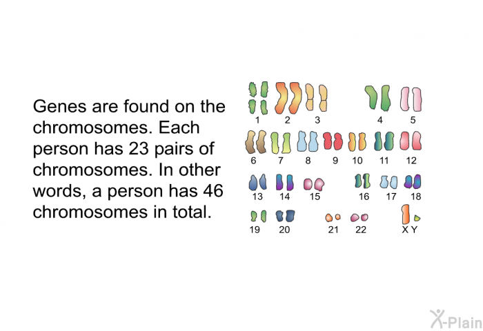 Genes are found on the chromosomes. Each person has 23 pairs of chromosomes. In other words, a person has 46 chromosomes in total.