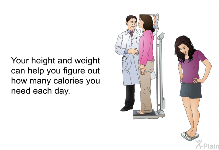 Your height and weight can help you figure out how many calories you need each day.