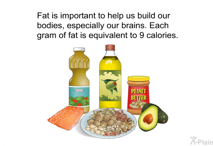 Fat is important to help us build our bodies, especially our brains. Each gram of fat is equivalent to 9 calories.