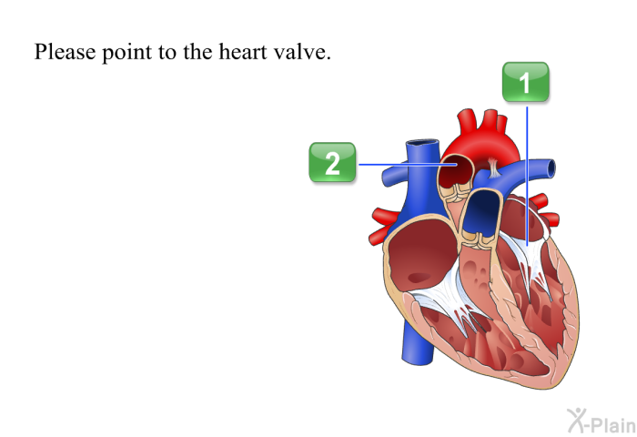 The main function of the heart is to load the blood with oxygen.