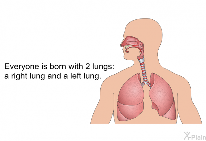 Everyone is born with 2 lungs: a right lung and a left lung.