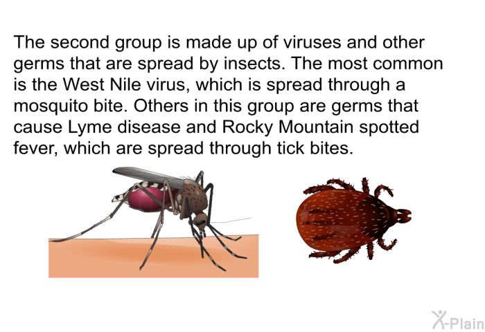 The second group is made up of viruses and other germs that are spread by insects. The most common is the West Nile virus, which is spread through a mosquito bite. Others in this group are germs that cause Lyme disease and Rocky Mountain spotted fever, which are spread through tick bites.
