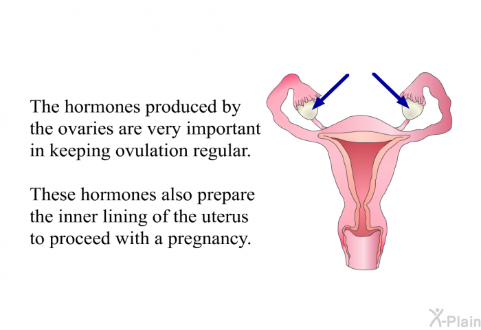 The hormones produced by the ovaries are very important in keeping ovulation regular. These hormones also prepare the inner lining of the uterus to proceed with a pregnancy.