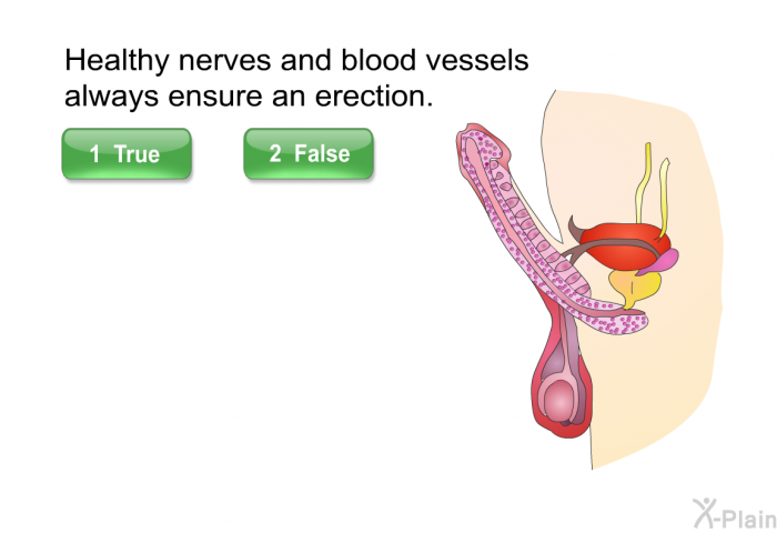 Healthy nerves and blood vessels always ensure an erection.