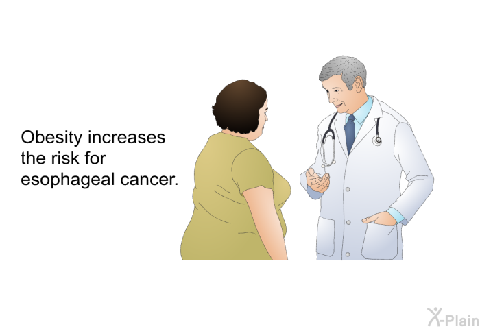 Obesity increases the risk for esophageal cancer.