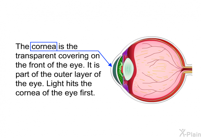 The cornea is the transparent covering on the front of the eye. It is part of the outer layer of the eye. Light hits the cornea of the eye first.