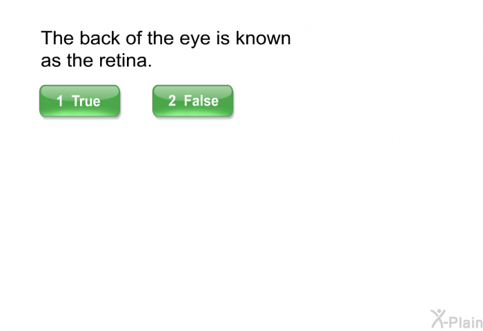 The back of the eye is known as the retina.