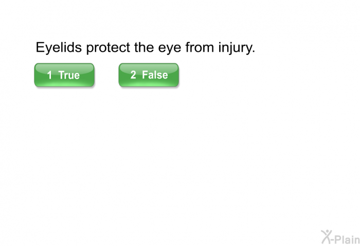 Eyelids protect the eye from injury. Select True or False.