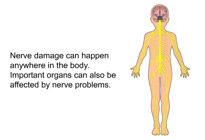 Nerve damage can happen anywhere in the body. Important organs can also be affected by nerve problems.