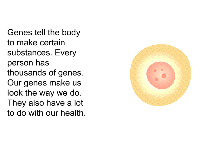Genes tell the body to make certain substances. Every person has thousands of genes. Our genes make us look the way we do. They also have a lot to do with our health.