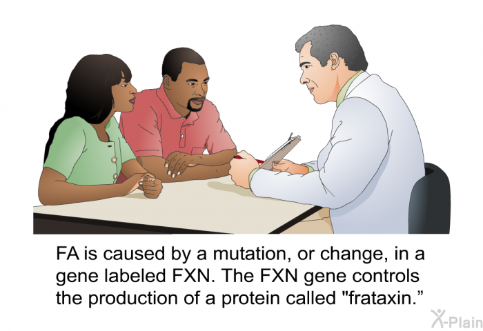 FA is caused by a mutation, or change, in a gene labeled FXN. The FXN gene controls the production of a protein called "frataxin.”