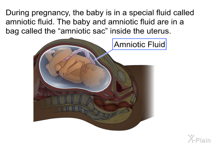 During pregnancy, the baby is in a special fluid called amniotic fluid. The baby and amniotic fluid are in a bag called the “amniotic sac” inside the uterus.