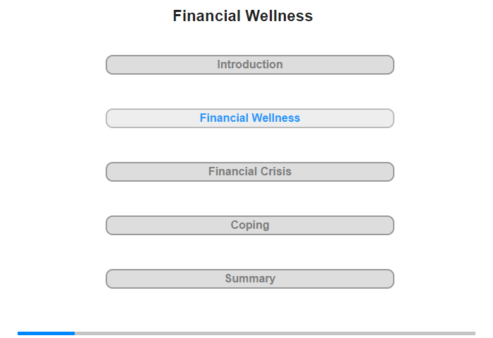 Financial Wellness