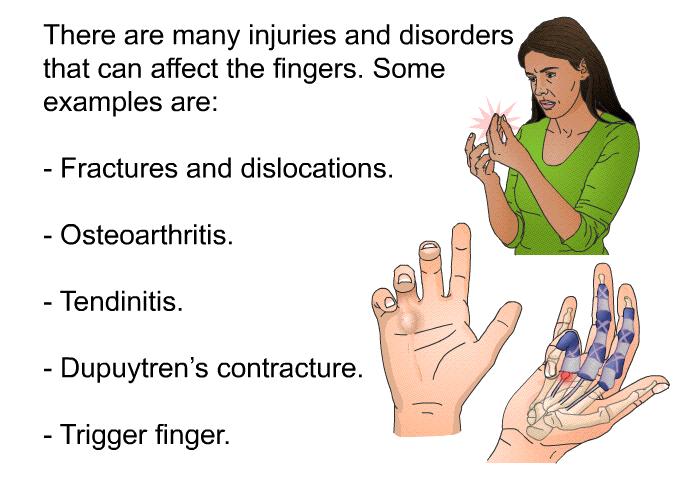 There are many injuries and disorders that can affect the fingers. Some examples are:  Fractures and dislocations. Osteoarthritis. Tendinitis. Dupuytren's contracture. Trigger finger.
