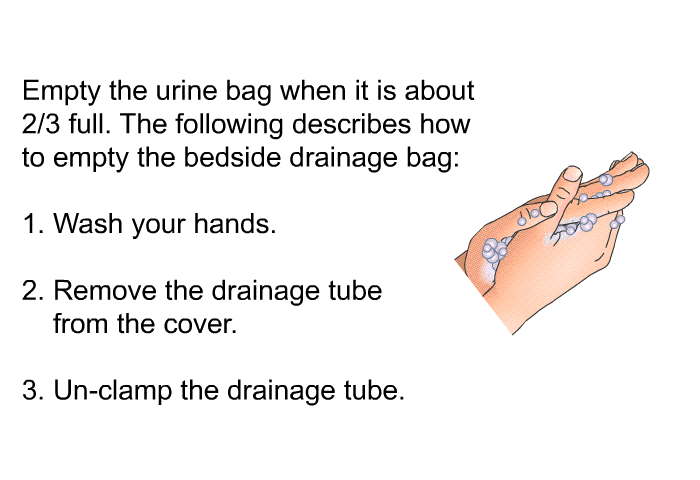 Empty the urine bag when it is about 2/3 full. The following describes how to empty the bedside drainage bag:  Wash your hands. Remove the drainage tube from the cover.  Un-clamp the drainage tube.