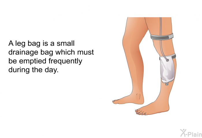 A leg bag is a small drainage bag which must be emptied frequently during the day.
