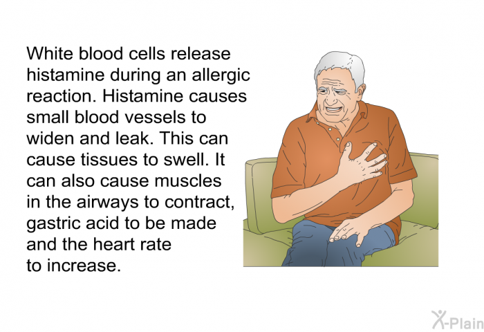 White blood cells release histamine during an allergic reaction. Histamine causes small blood vessels to widen and leak. This can cause tissues to swell. It can also cause muscles in the airways to contract, gastric acid to be made and the heart rate to increase.