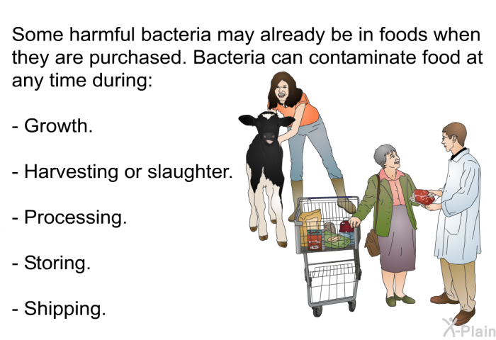 Some harmful bacteria may already be in foods when they are purchased. Bacteria can contaminate food at any time during:  Growth. Harvesting or slaughter. Processing. Storing. Shipping.