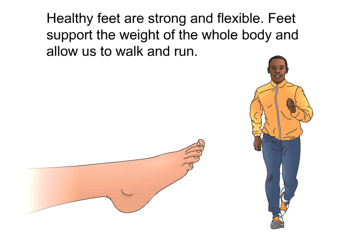 Healthy feet are strong and flexible. Feet support the weight of the whole body and allow us to walk and run.