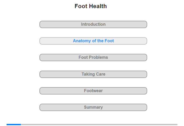 Anatomy of the Foot