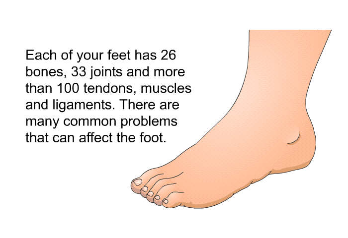 Each of your feet has 26 bones, 33 joints and more than 100 tendons, muscles and ligaments. There are many common problems that can affect the foot.