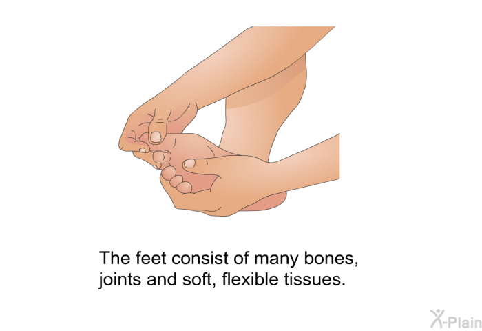 The feet consist of many bones, joints and soft, flexible tissues.