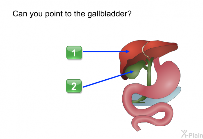 Can you point to the gallbladder?