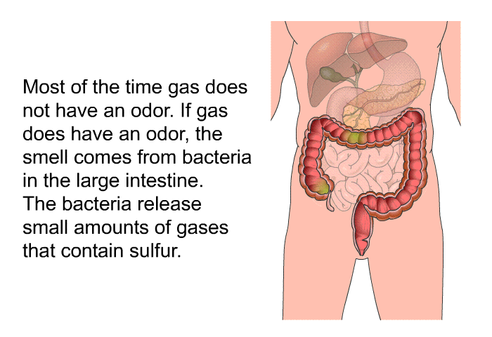 Most of the time gas does not have an odor. If gas does have an odor, the smell comes from bacteria in the large intestine. The bacteria release small amounts of gases that contain sulfur.