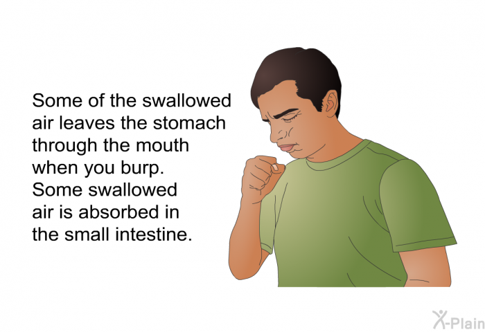 Some of the swallowed air leaves the stomach through the mouth when you burp. Some swallowed air is absorbed in the small intestine.