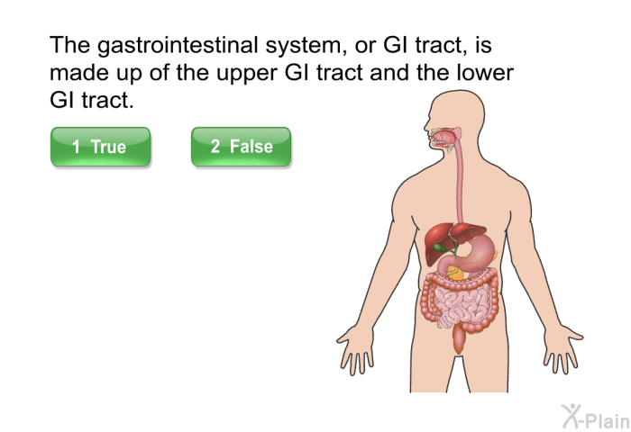 The gastrointestinal system, or GI tract, is made up of the upper GI tract and the lower GI tract.