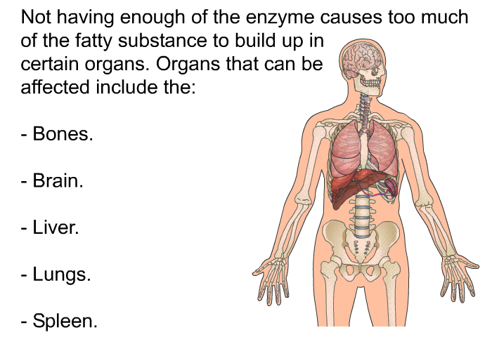Not having enough of the enzyme causes too much of the fatty substance to build up in certain organs. Organs that can be affected include the:  Bones. Brain. Liver. Lungs. Spleen.