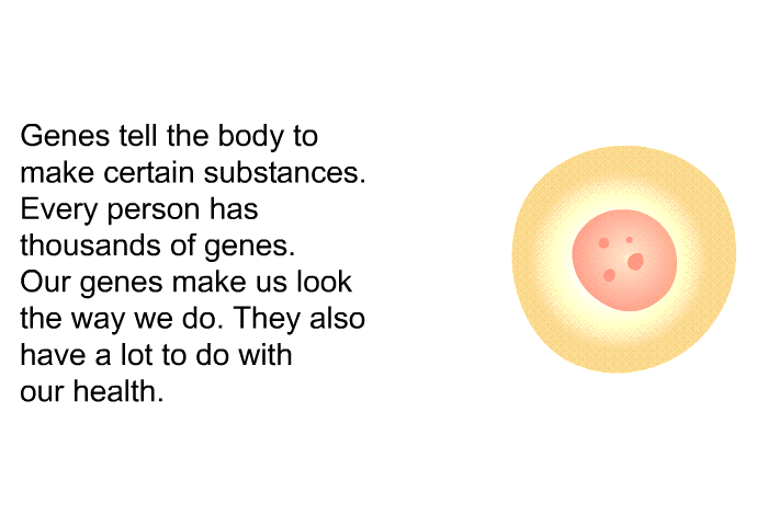 Genes tell the body to make certain substances. Every person has thousands of genes. Our genes make us look the way we do. They also have a lot to do with our health.