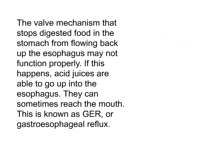 The valve mechanism that stops digested food in the stomach from flowing back up the esophagus may not function properly. If this happens, acid juices are able to go up into the esophagus. They can sometimes reach the mouth. This is known as GER, or gastroesophageal reflux.