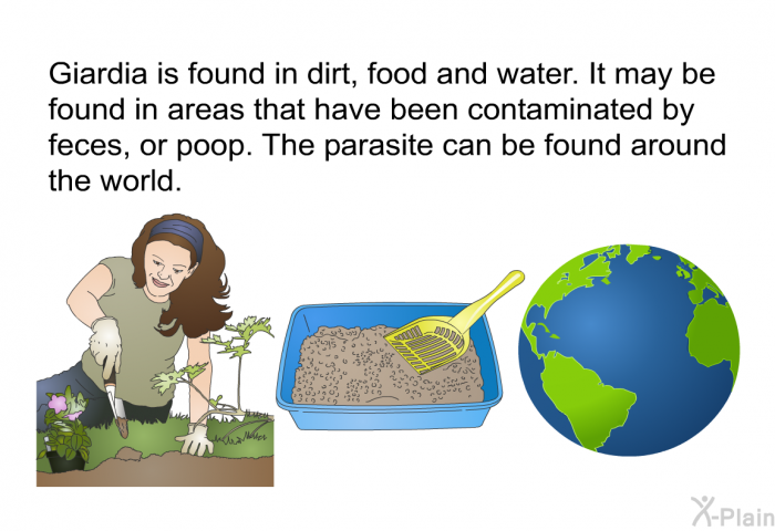 Giardia is found in dirt, food and water. It may be found in areas that have been contaminated by feces, or poop. The parasite can be found around the world.