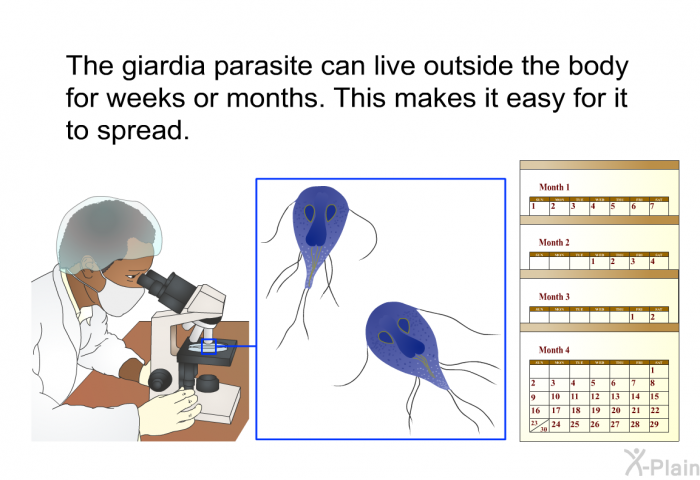 The giardia parasite can live outside the body for weeks or months. This makes it easy for it to spread.