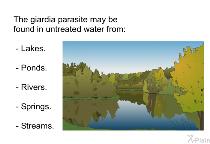 The giardia parasite may be found in untreated water from:  Lakes. Ponds. Rivers. Springs. Streams.