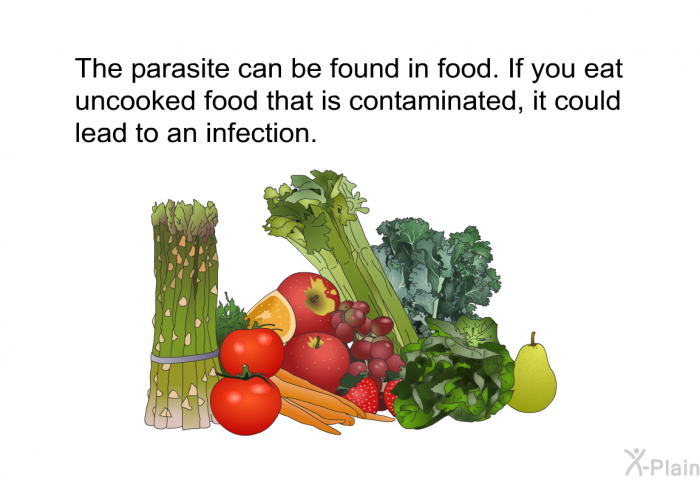 The parasite can be found in food. If you eat uncooked food that is contaminated, it could lead to an infection.